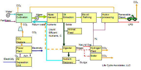 Algae Process Model