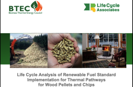LCA Wood Pellets and Chips