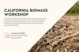 Life Cycle Associates presents at California Biomass Workshop